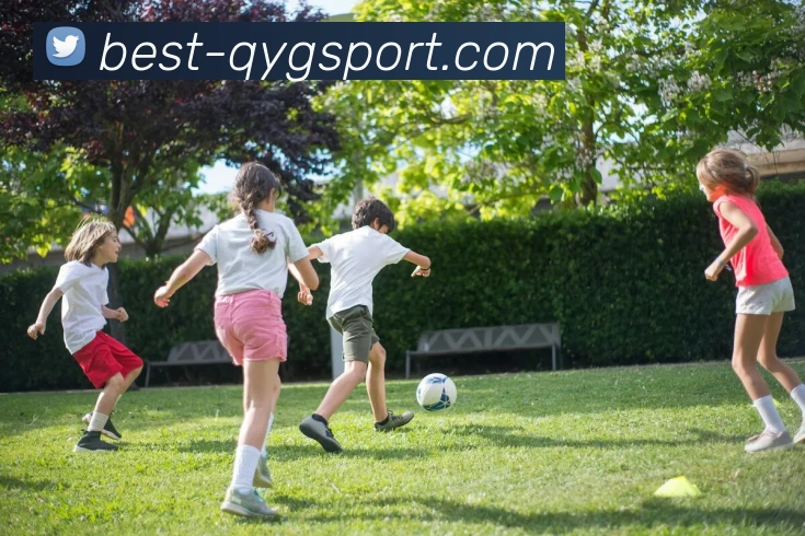 奇异果体育发展历程